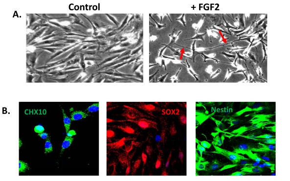 Fig. (3)