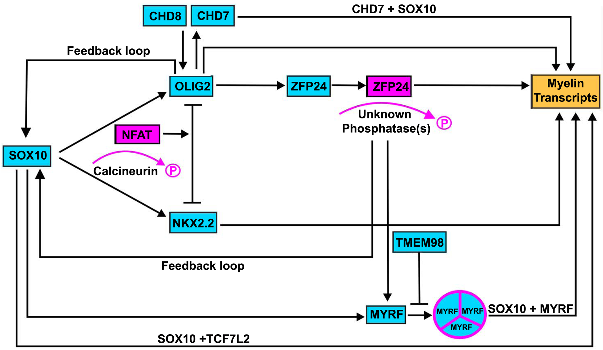 Figure 1, Key Figure: