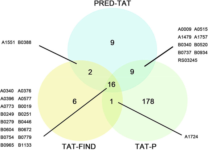 FIG 5