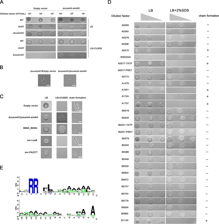 FIG 6