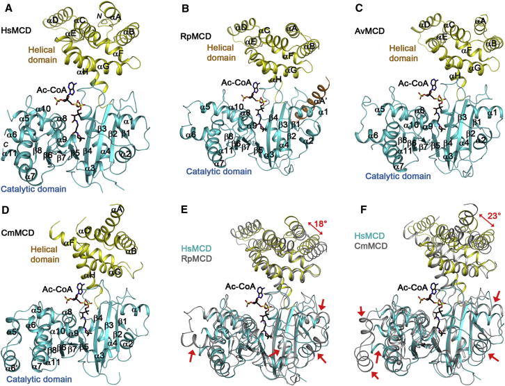 Figure 2