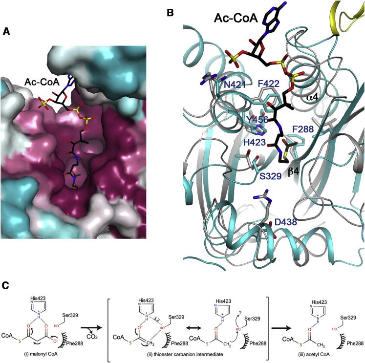 Figure 5