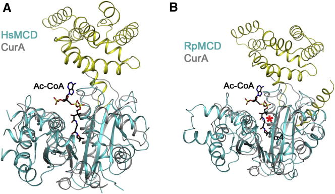 Figure 4