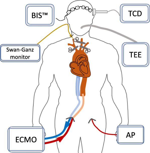 Fig. 2