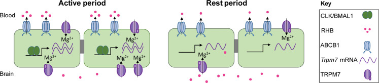 Fig. 7