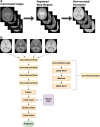 Flowchart of (A) imaging preprocessing steps and (B) model
architecture overview. *Only T1- and T2-weighted images underwent
bias correction.