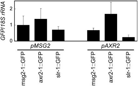 Figure 6.