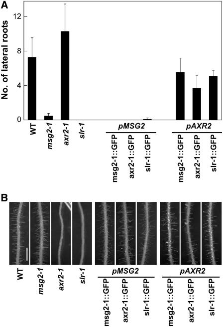 Figure 3.