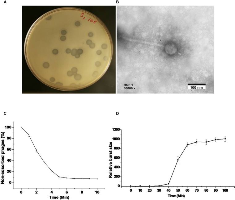 FIGURE 1