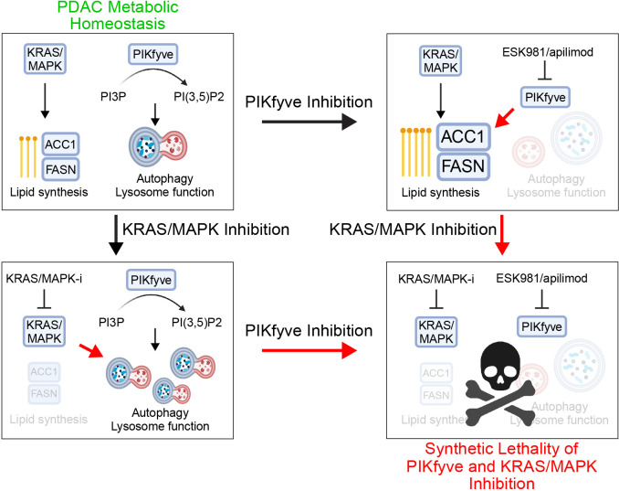 Figure 5: