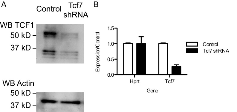 Fig. S6.