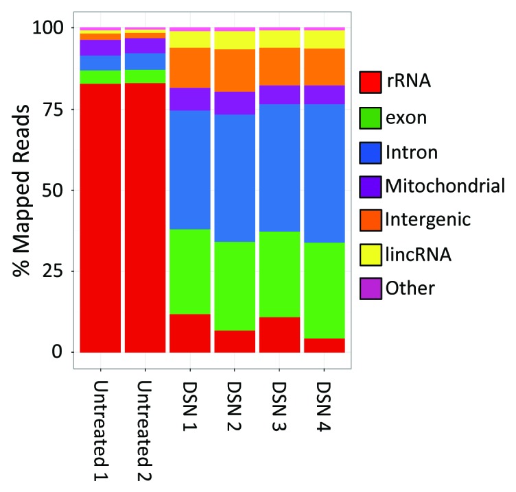 graphic file with name rna-10-502-g8.jpg