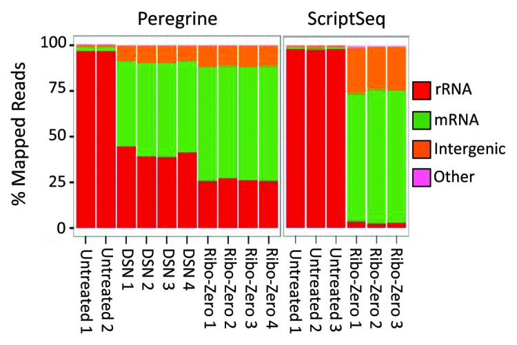 graphic file with name rna-10-502-g3.jpg