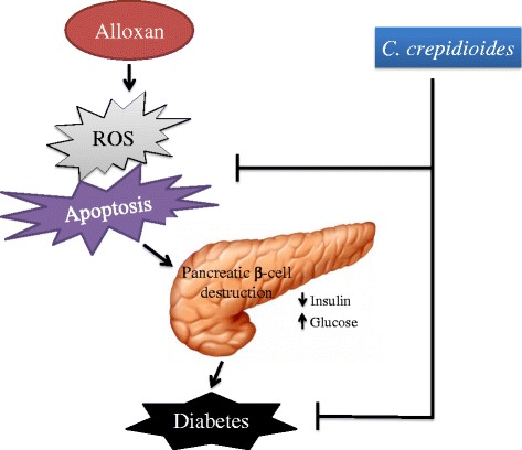 Fig. 10