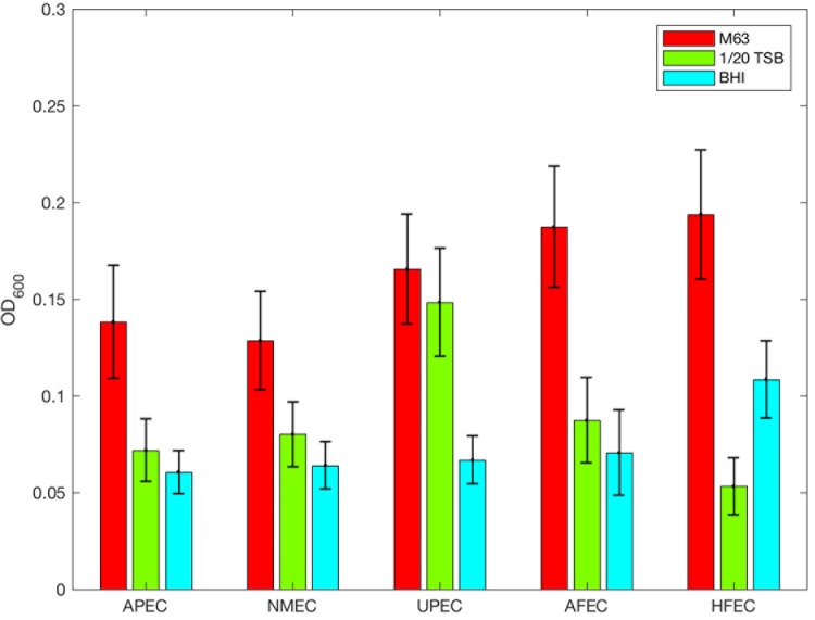 FIGURE 3