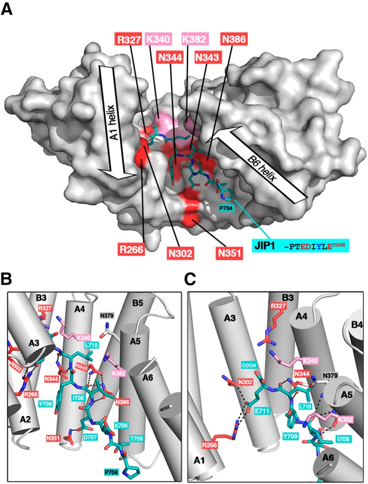 Figure 7.