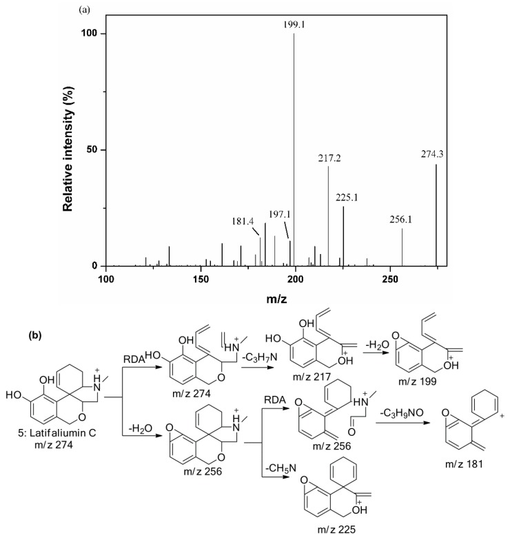 Figure 5