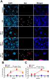 Figure 2: