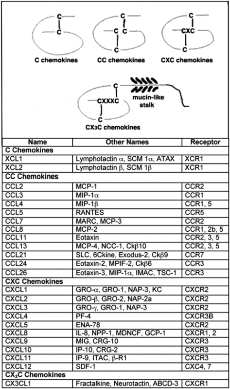 graphic file with name inl-1.gif