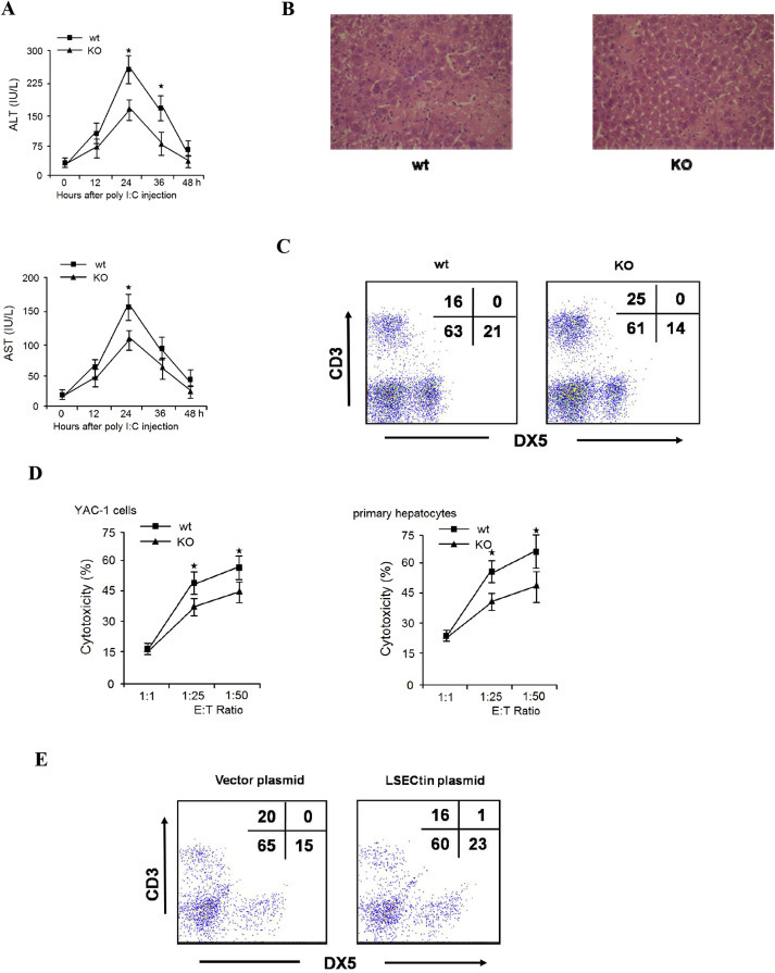 Fig. 4