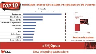 Graphical Abstract