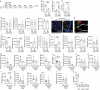 Extended Data Fig. 8