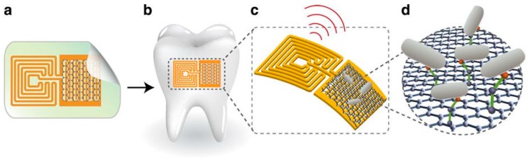 Figure 5