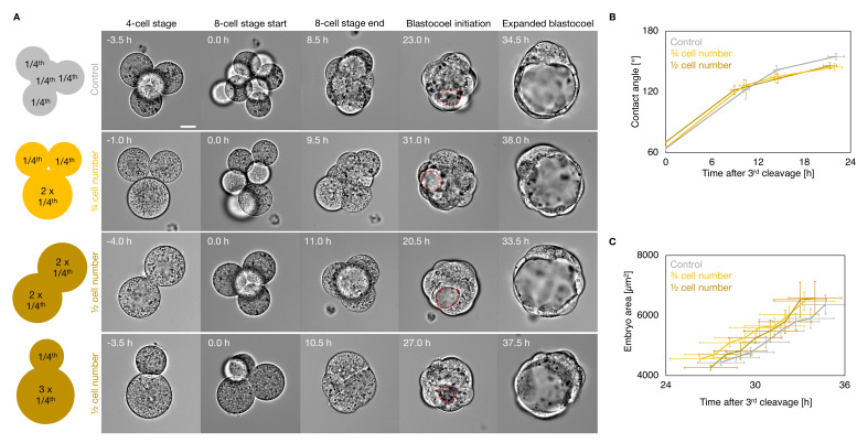 Figure 2—figure supplement 2.