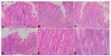 Fig 10