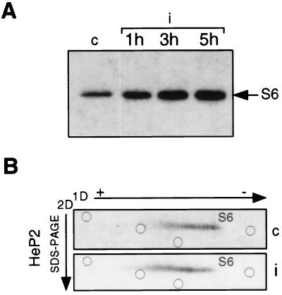 FIG. 5