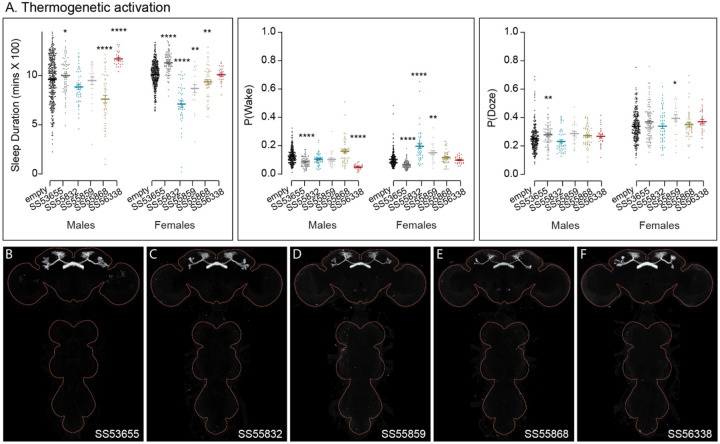 Figure 10—figure supplement 5.