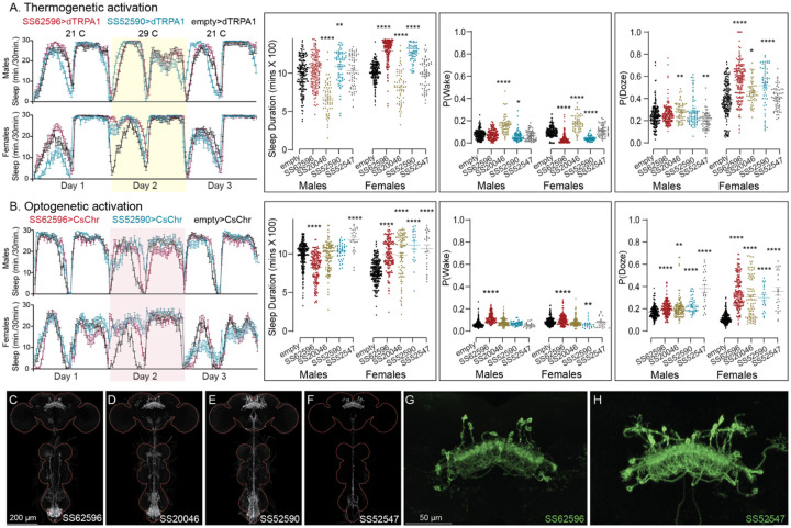 Figure 10—figure supplement 2.