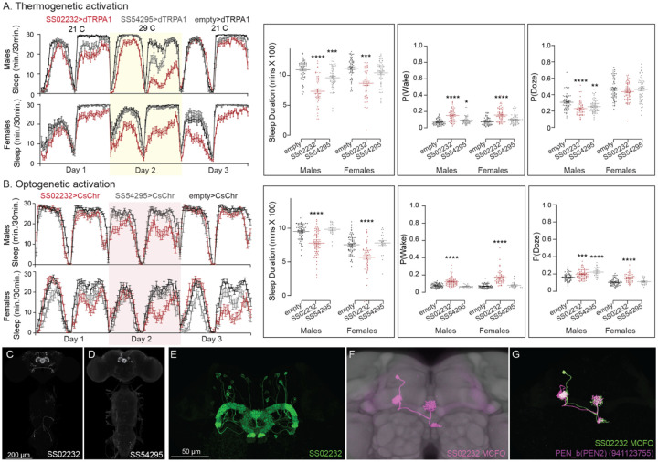 Figure 10—figure supplement 1.