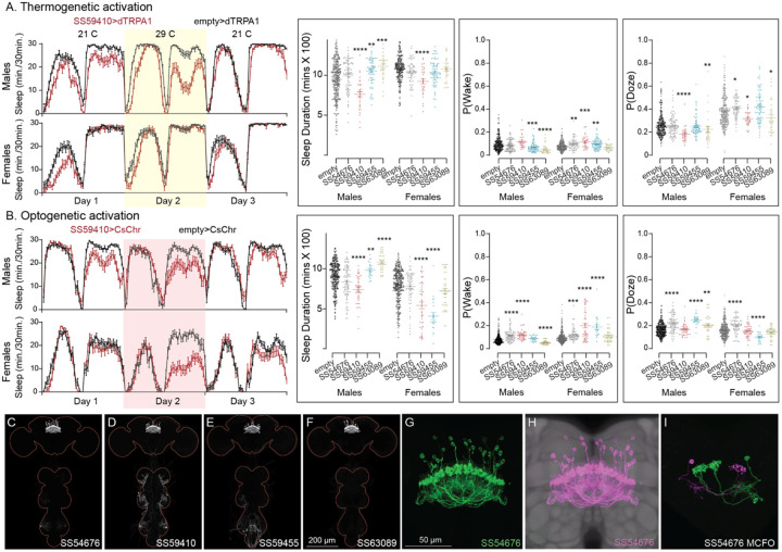 Figure 10—figure supplement 4.