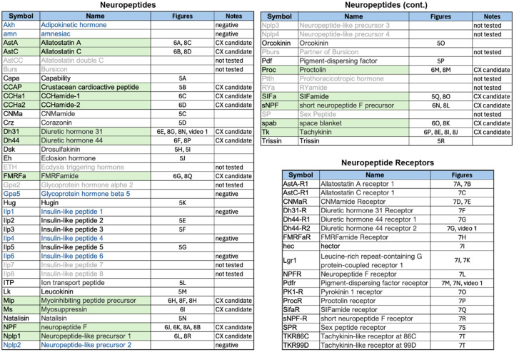 Figure 5—figure supplement 1.