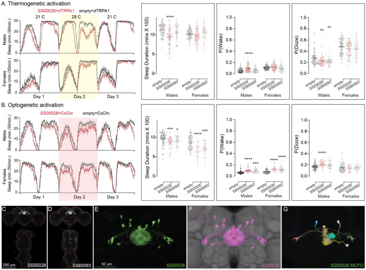 Figure 10—figure supplement 3.