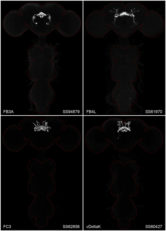 Figure 2.