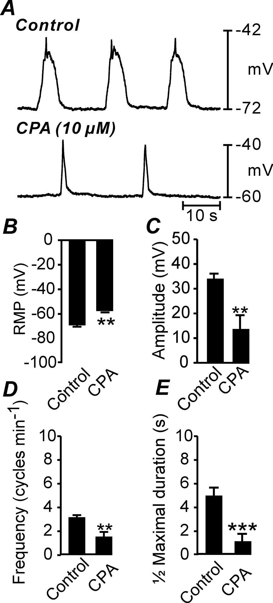 Fig. 11.