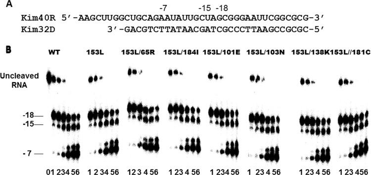 FIG 5