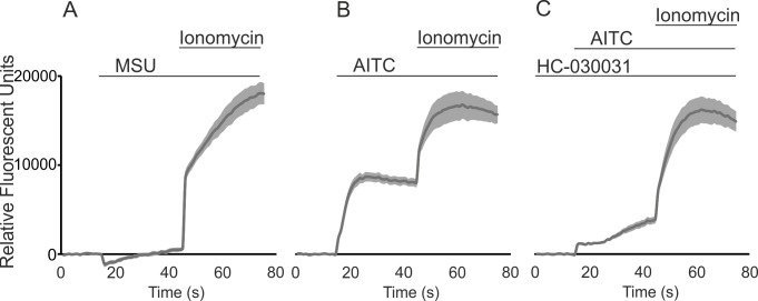 Fig 4