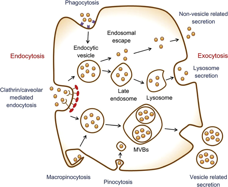 Figure 2