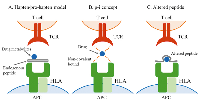 Figure 3