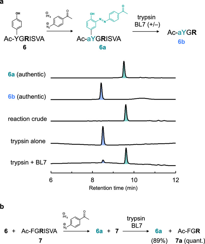 Fig. 6