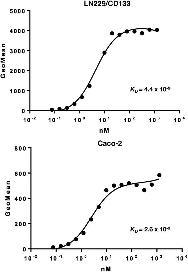 FIG. 2.