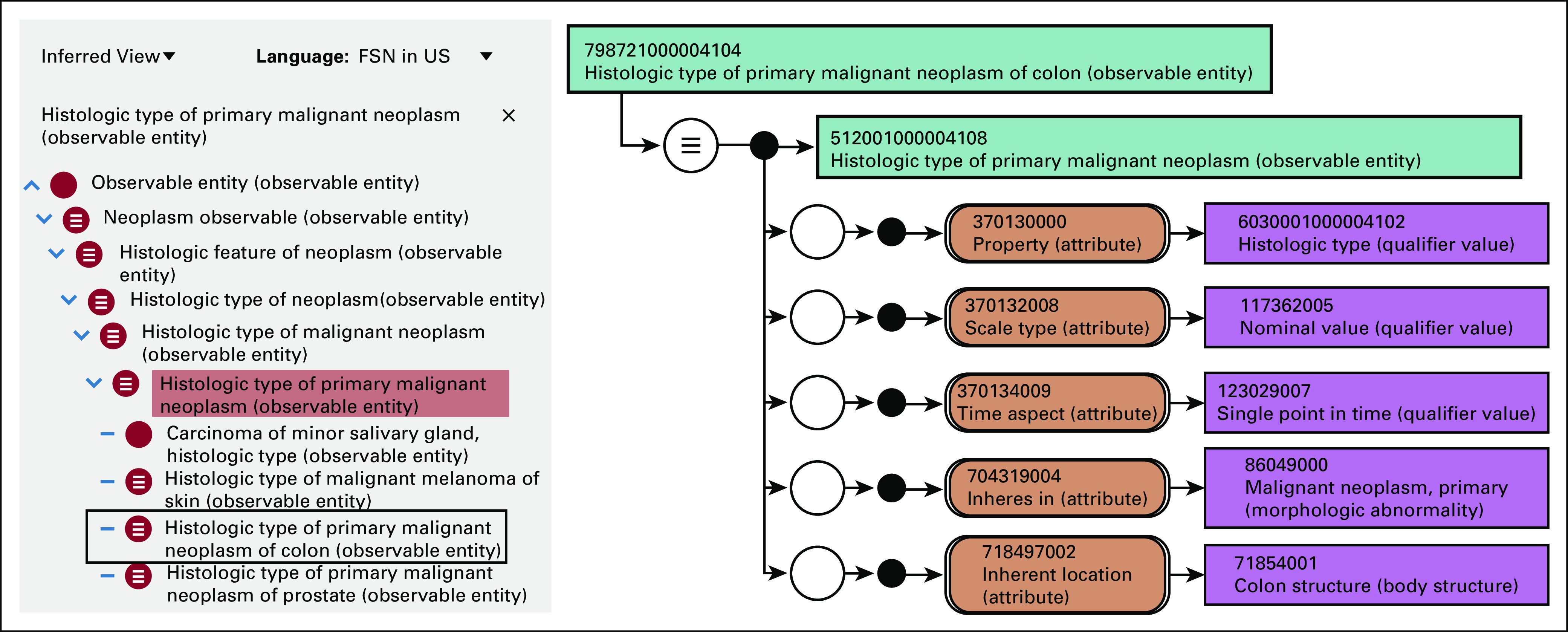 FIG 2.