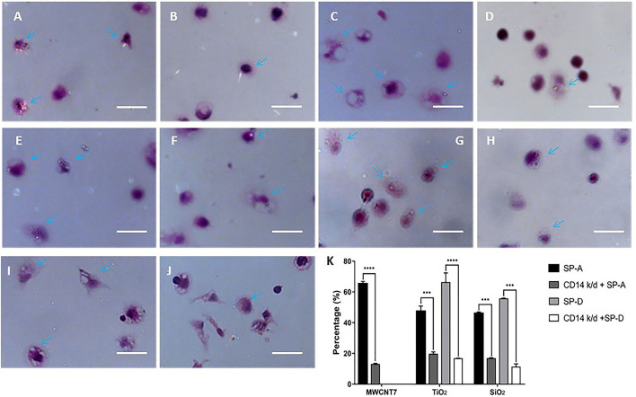 Figure 6