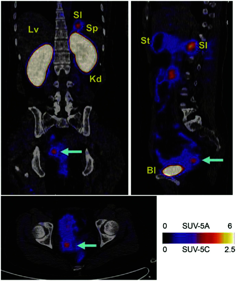 Fig. 6