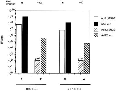 FIG. 7