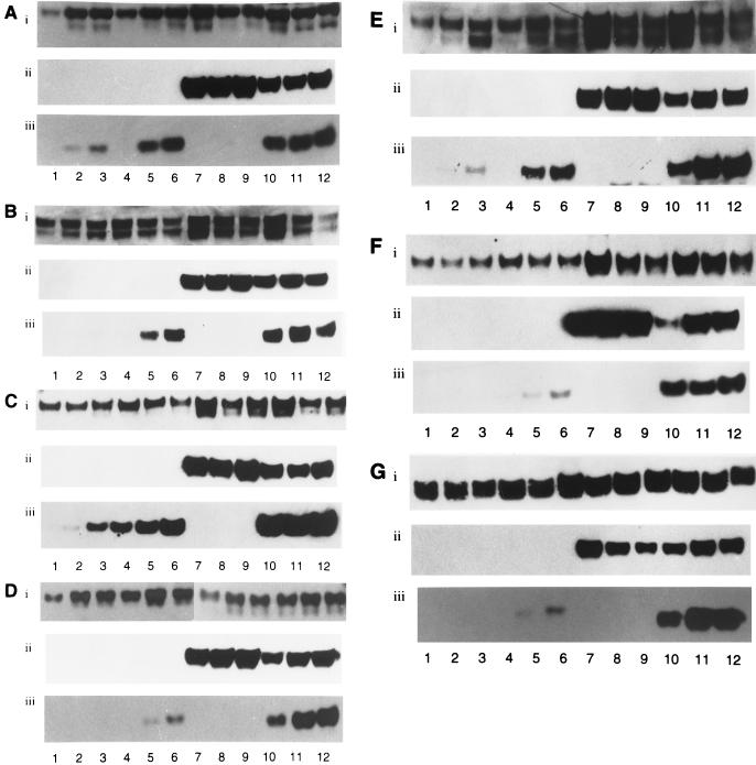 FIG. 6