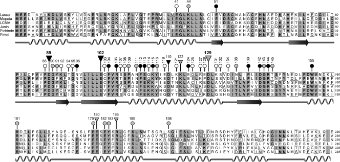 FIG. 5.